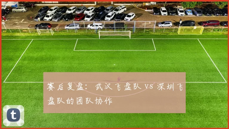 赛后复盘：武汉飞盘队 vs 深圳飞盘队的团队协作