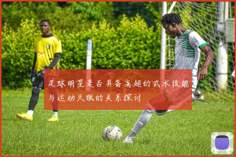 足球明星是否具备高超的武术技能与运动天赋的关系探讨