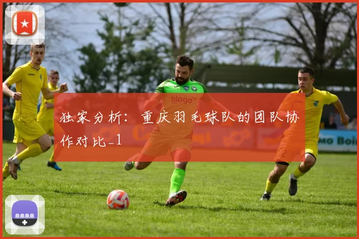 独家分析：重庆羽毛球队的团队协作对比_1