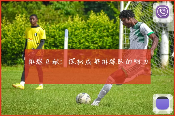 排球巨献：探秘成都排球队的耐力