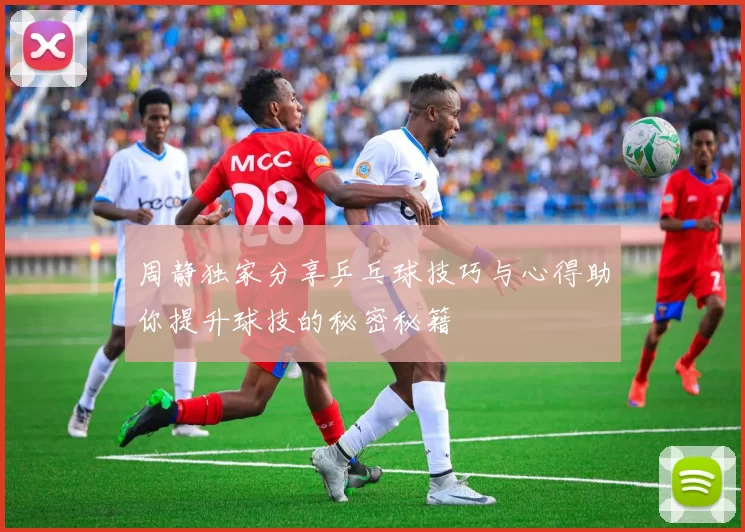 周静独家分享乒乓球技巧与心得助你提升球技的秘密秘籍
