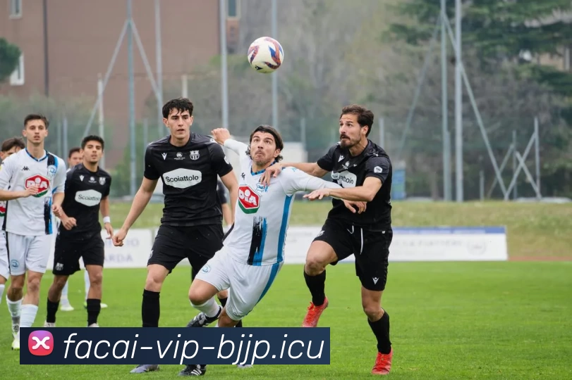 乐鱼体育APP 高清赛事图